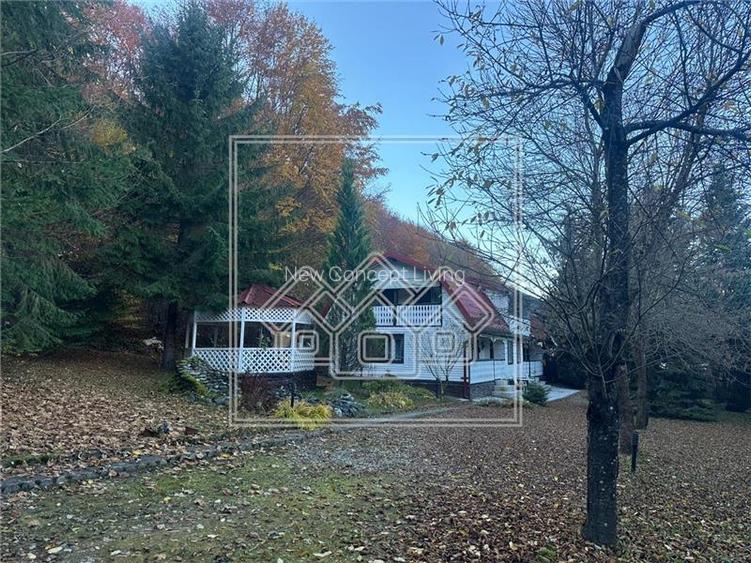Casa de vacanta in Cartisoara, Transfagarasan - teren 971 mp, 8 camere - 27