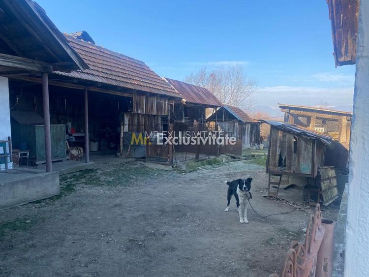 Proprietate cu potențial turistic și agricol | 7.661 mp|Șomanești-GORJ - 8