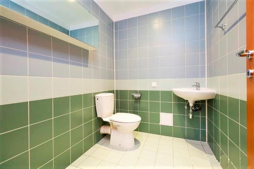Apartament spatios si luminos langa parc | zona Herastrau