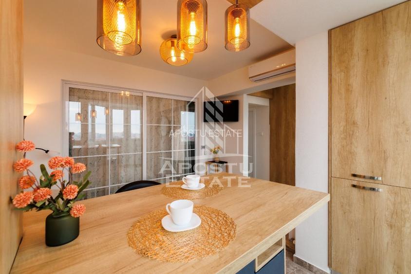 Apartament o camera, renovat,  Piata Marasti Timisoara - 10