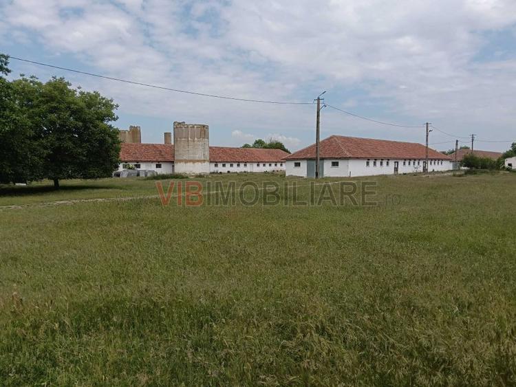 Ferma complet utilată – 30 ha teren comasat Timiș – Comuna Biled