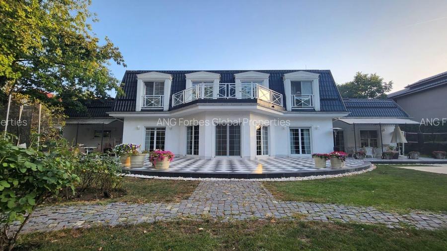 Vila individuala, teren 3000 mp, Iancu Nicolae - 29