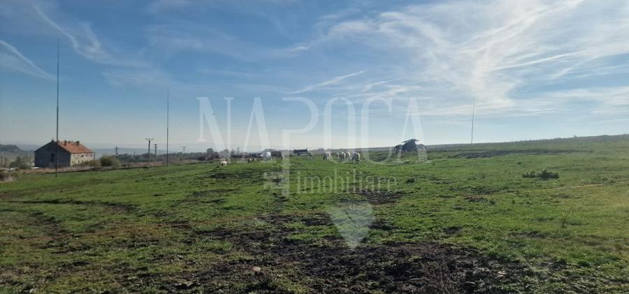 Teren extravilan agricol de vanzare in Iris, Cluj Napoca