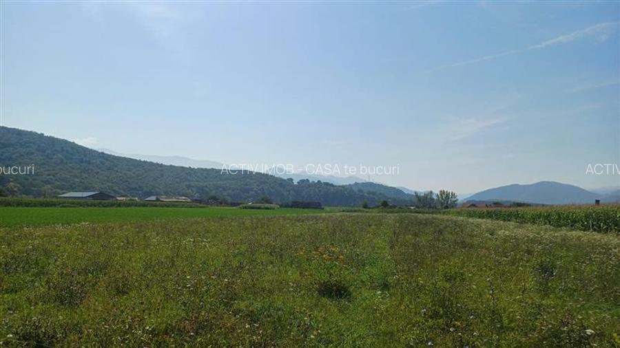 Teren intravilan 2500 mp  de vanzare - 3
