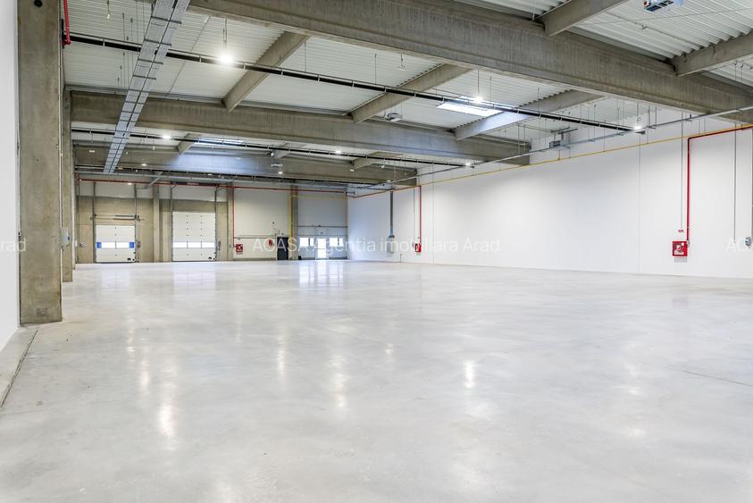 4646 mp - Hala industriala de inchiriat in Parc Industrial Arad - 5