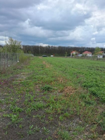 Teren 5600 mp deschidere Lac Snagov 32ml