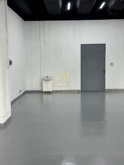 Spatiu Industrial | Pallady