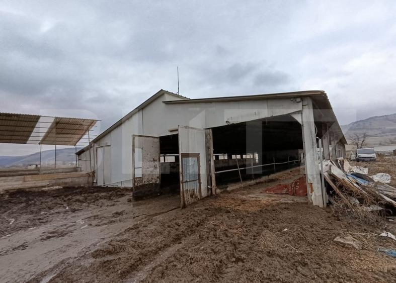 TEREN - GRAJD 6600MP, DEPOZIT, HALA ZONA BLAJ