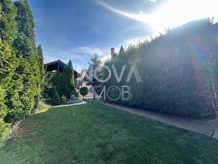 Casa individuala de vanzare - Sura Mare