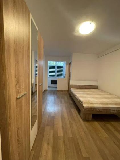 Apartament cu 1 camera in Alexandru cel Bun