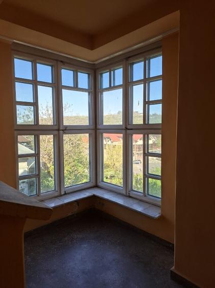 Vila D+P+E+M, ultracentral str.Vintila Voda