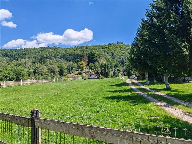 Teren Rasnov Glajarie 2000Mp Intravilan - 6
