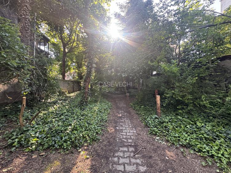 Proprietate unica la Grădina Icoanei - 10