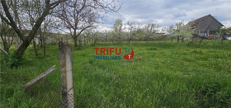 Casă veche + teren 3100 mp | Galda de Jos | Acces râu