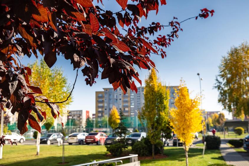Garsoniera premium, parcare subterana si boxa, faza IV Avantgarden