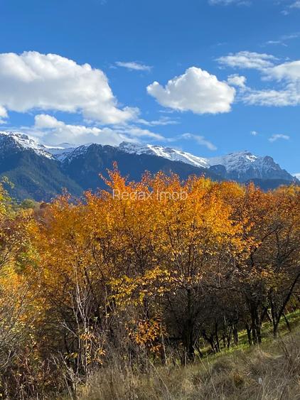 Teren intravilan Sohodol, priveliste catre Bucegi, Piatra Craiului,Magura Codlei - 6