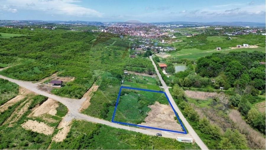 Teren intravilan de vânzare – 4.000 mp, Vișan
