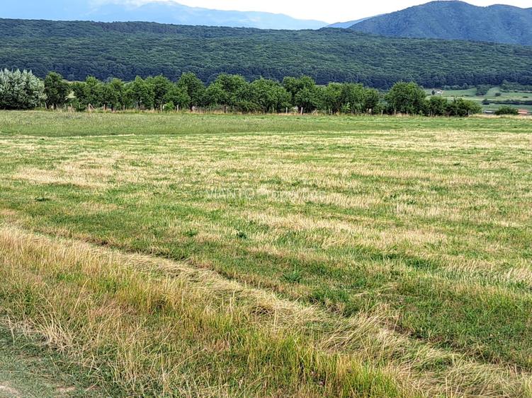 Oportunitate-Teren Extravilan 6200 mp cu vedere Panoramica-Tropinii Noi-Rasinari - 9