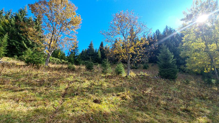 TEREN INTRAVILAN-EXTRAVILAN SPECTACULOS LANGA RESORTUL CHEILE GRADISTEI -FUNDATA