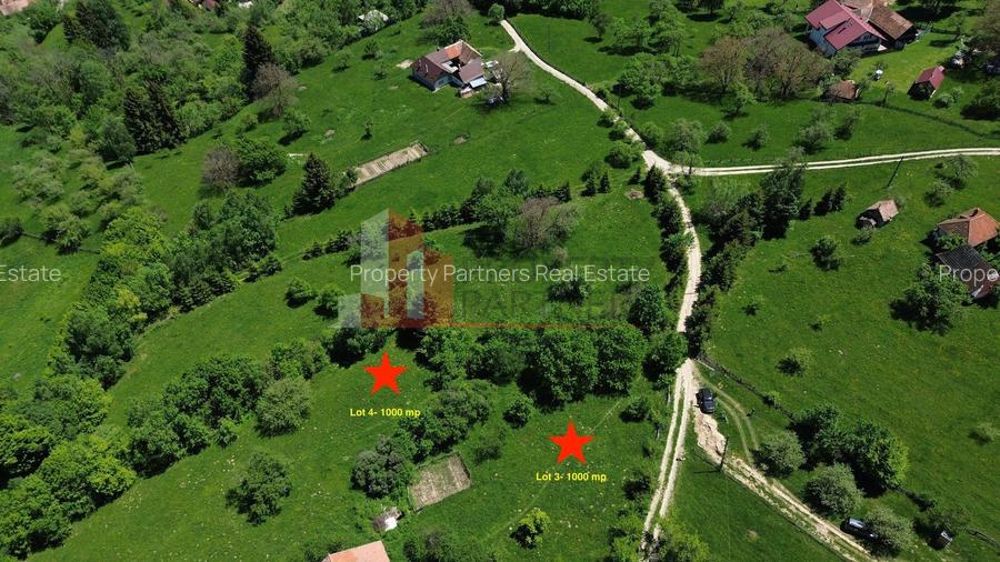Loturi de teren 1.000 mp | Poarta – Bran | Vedere panoramică către Munții Bucegi