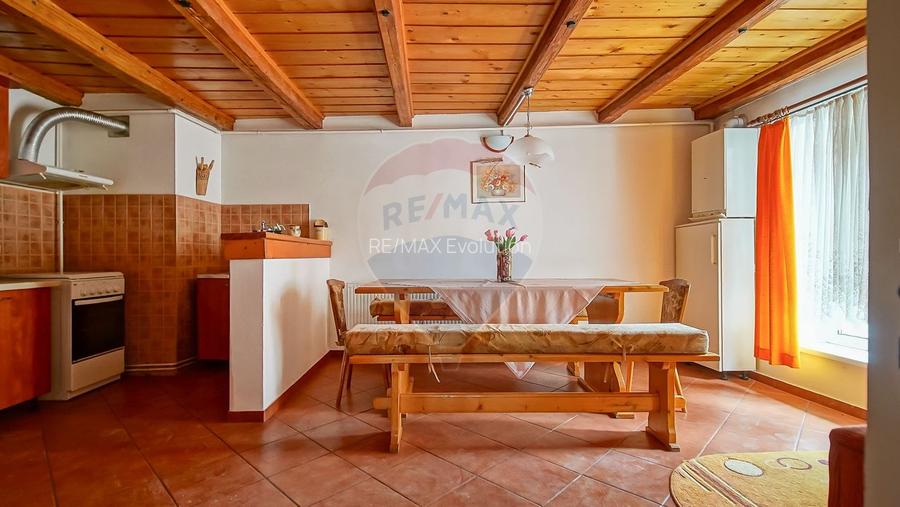APARTAMENT ISTORIC 110 MP CU POD SI VEDERE SPRE STRADA REPUBLICII - 14