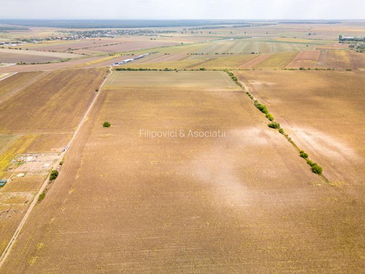 DASCALU – TEREN INTRAVILAN 11300 MP, INVESTITIE! - 7