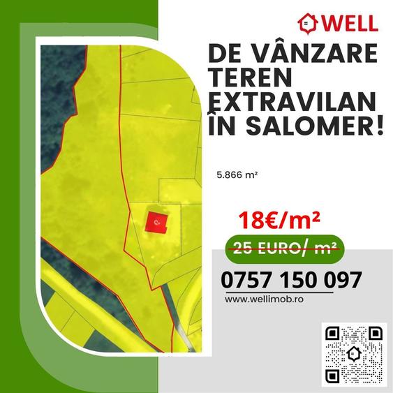 De vânzare teren extravilan în Salomer!