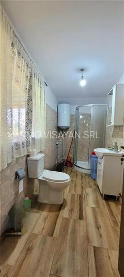 Teren 3100 mp cabana potential investitional Sura Mica Sibiu - 14