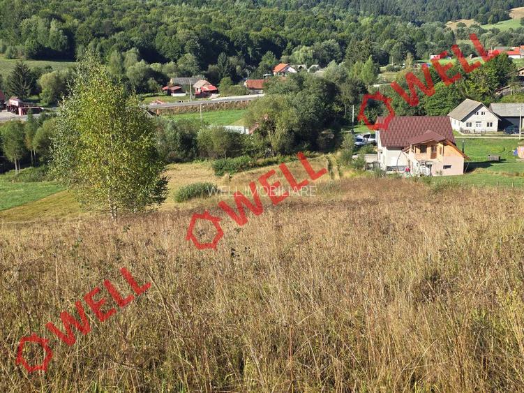 De vânzare teren extravilan în Întorsura Buzăului, Brădet! - 3