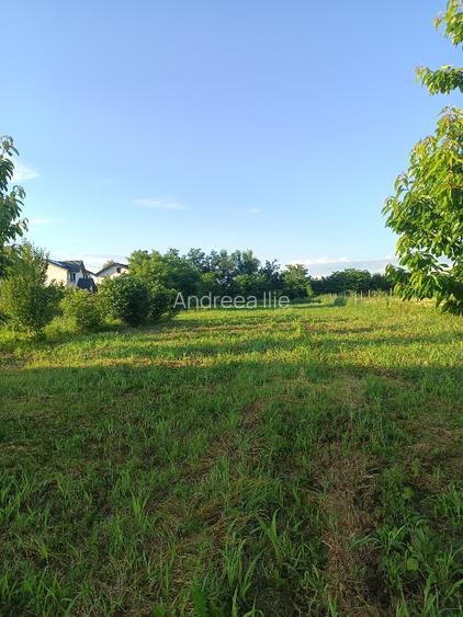 Teren parcelabil, intravilan, 6400mp cu casa renovata - ideal investitor  - 14