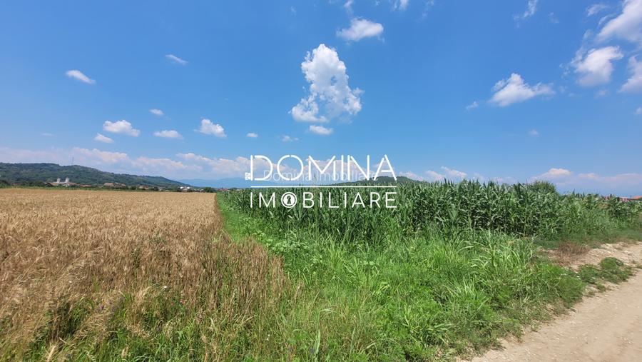 Vânzare teren intravilan, 3504 mp, sat Ceauru, comuna Bălești - 5