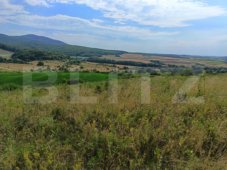 Teren extravilan, de vanzare, 6500 mp, zona Crasnei