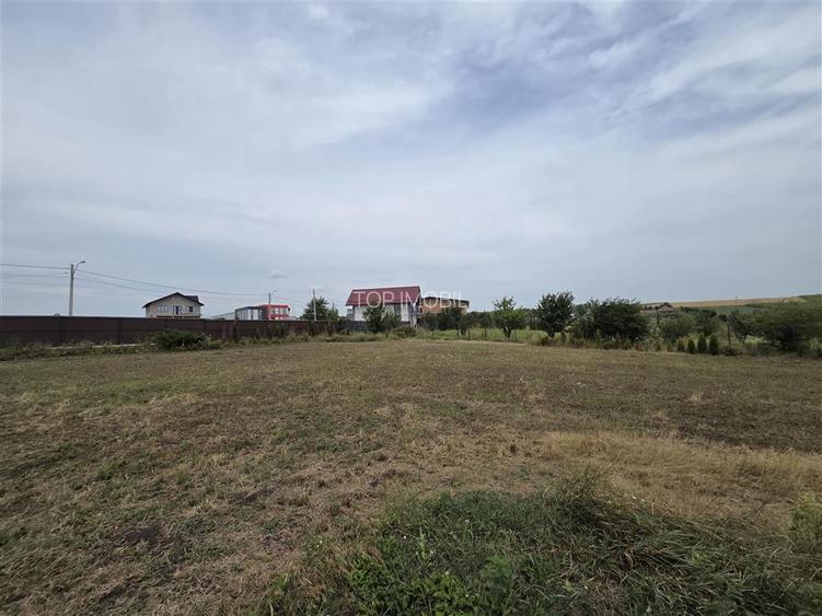 Proprietate Deosebita cu 4600 Mp Teren, 2 Case, Panouri Fotovoltaice si Sera - 32