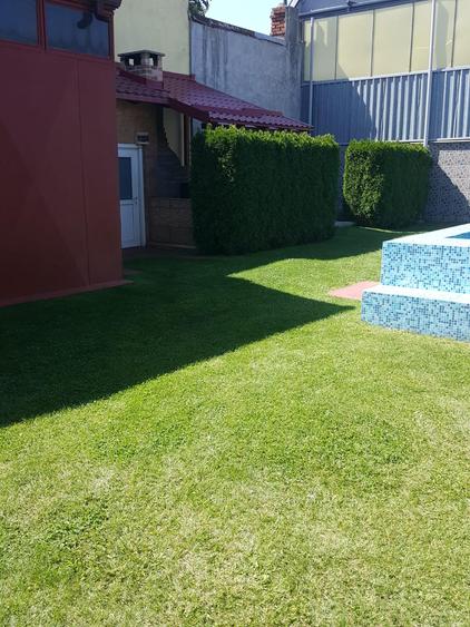 Vanzare vila zona Titulescu cu trei apartamente piscina garaj gradina foisor