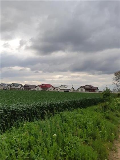 Teren in Ciolpani oportunitate investitie, pret bun