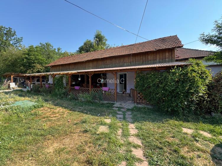Casă renovată de la structură + 6.400 mp cu plantație de lavandă și fotovoltaic  - 8