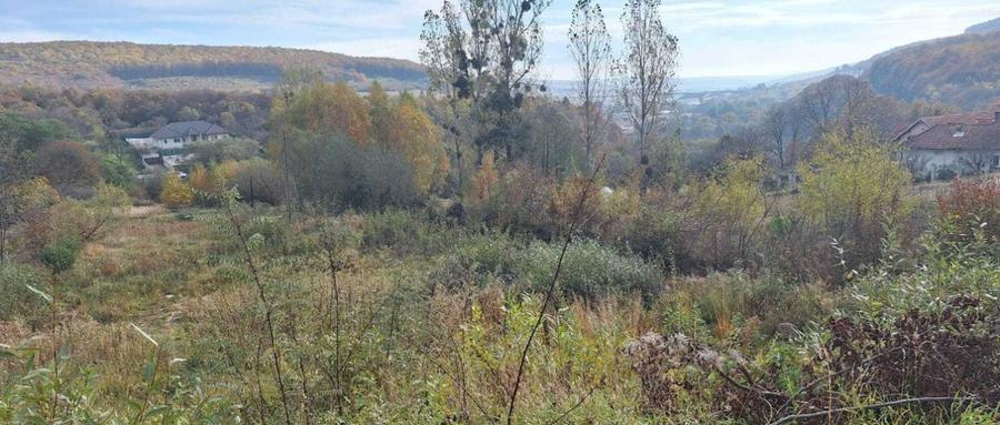 Teren autorizat ,Duplex ,zona Feleacu