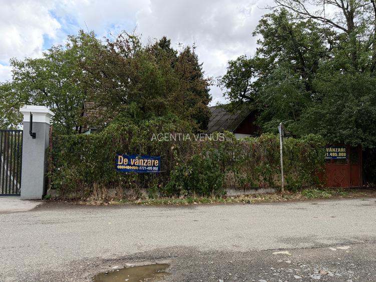 CASĂ DE VACANȚĂ ÎN GRADINA VIILOR CAREI CU 1.924 MP TEREN FRONT 15M - 4