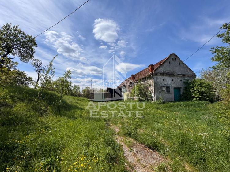 Teren intravilan 2880mp, front de 28ml, pe strada Buituri, Hunedoara - 6