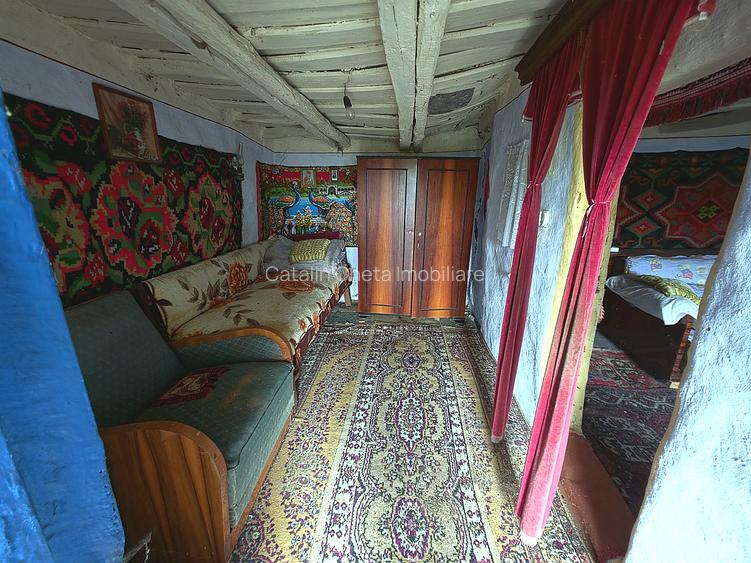 Teren de vanzare + casa in Gorghesti, Bacau – 7.391 mp, zona linistita de deal - 10