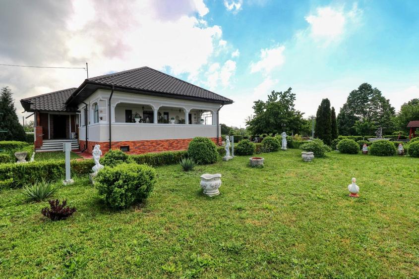 Oportunitate - Casă boierească de poveste- 7000 mp teren