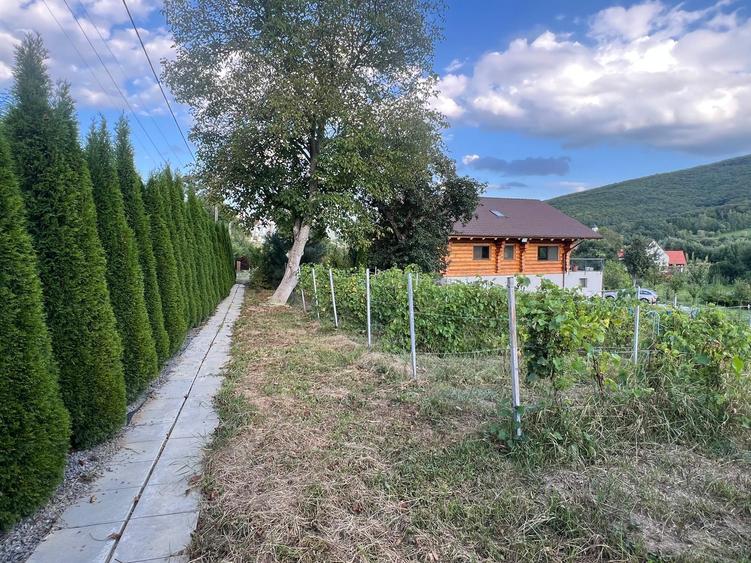 Evadare in mijlocul naturii in satul Lisnau - Ozun