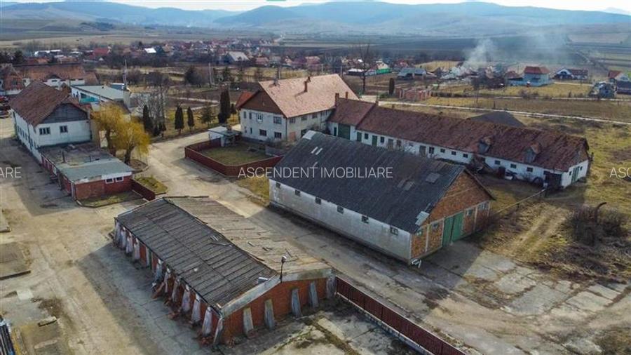 Ansamblu agrozootehnic cu renume,dotat +valoare exceptionala+potential versatil, - 28