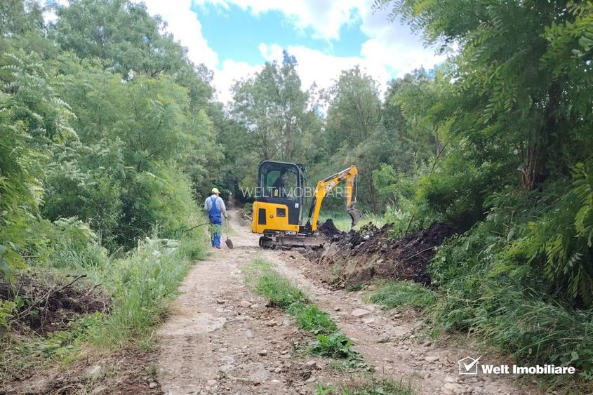 TEREN PENTRU REFUGIUL TAU IN NATURA - BORHANCI - 9