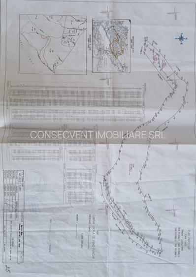 Teren forestier 27,27 ha, Valea Lugojului, Acces facil, 10.000 €/ha - 3