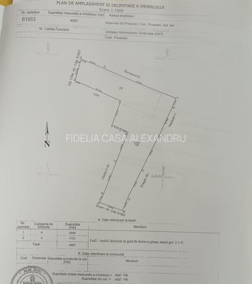 Teren pentru constructii case de vanzare Iasi Prisacani - 9