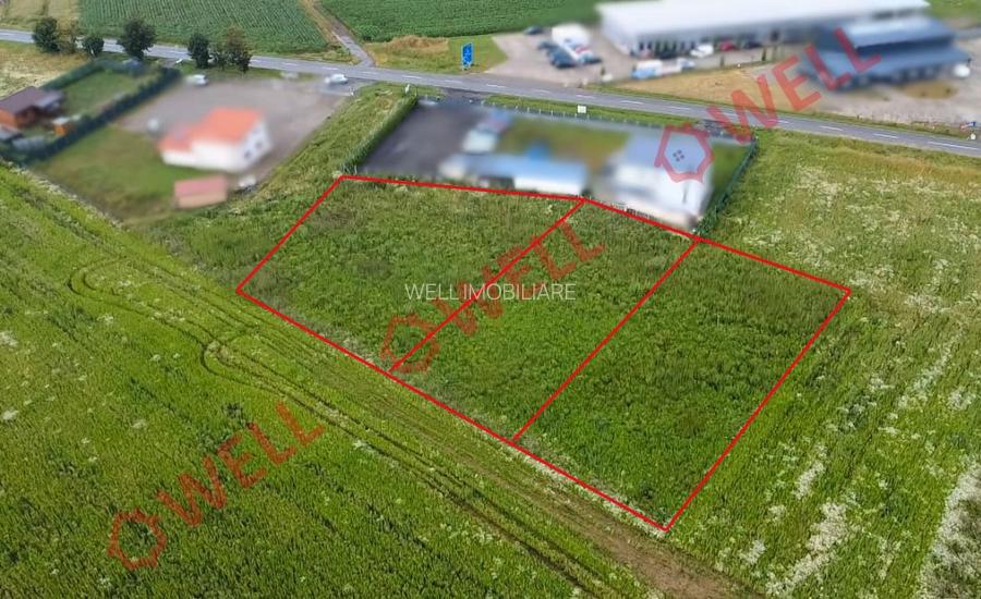 Terenuri intravilane de vânzare în Chilieni! - 5