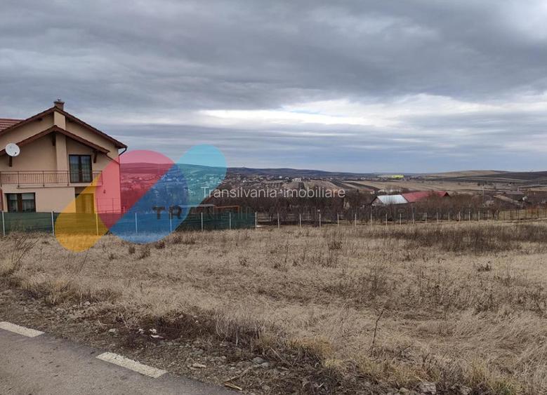 Teren intavilan construibil 4000mp în Tureni - 3