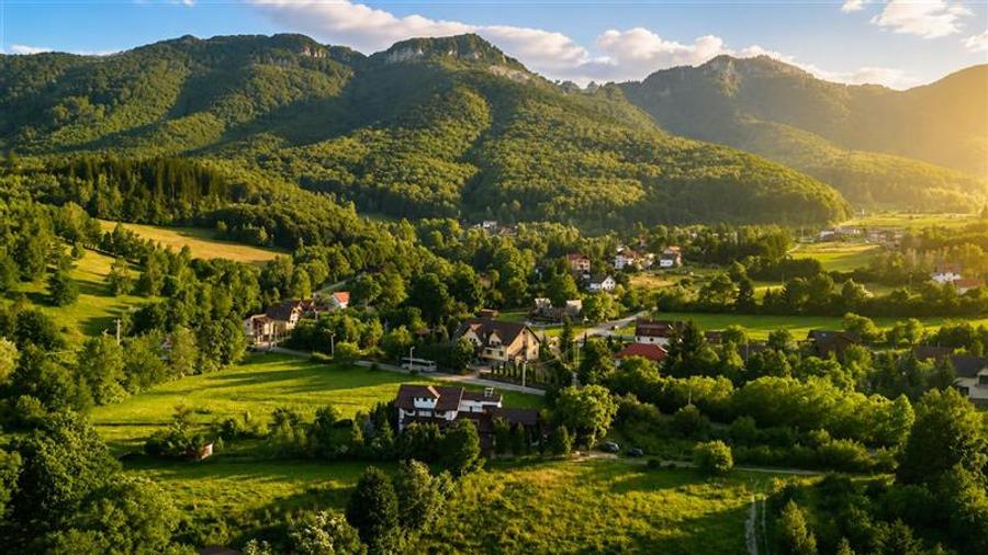 FILM! Investitie 2 in 1:Unitati independente +domeniu 1.742mp,aria Bran,Tohanita