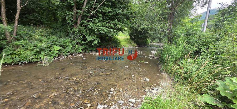 Teren ideal pentru cabană sau pensiune în Poiana Galdei - 9